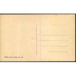 K�benhavn - Absalons Statue og Nikolaj Taarn - Geerts 611 - Ubrugt