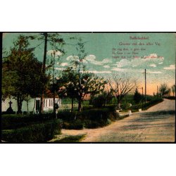 B�ffelkobbel - Graven ved alfar vej - Carl. C. Biehl 3228 - Ubrugt