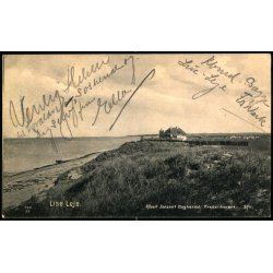 Lise leje - Albert Jensens Bogh. 3711