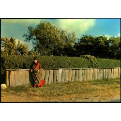 R�m� - Hvalribben - Stjerne Foto 35144 - Ubrugt