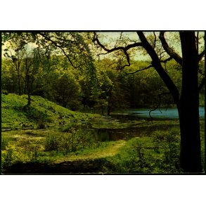 Bornholm - Almindingen - Rudolf Olsen 1228 - Ubrugt