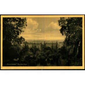 Paradisdalen - Tisvilde Hegn - E. Ramlaus Bogh. 60176 - Brugt