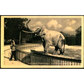 Zoologisk Have i Kbenhavn - Jumbo paa aaben Arena - Zoo Nr. 10 - Brugt