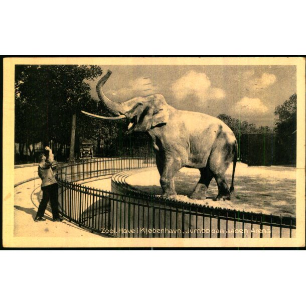 Zoologisk Have i Kbenhavn - Jumbo paa aaben Arena - Zoo Nr. 10 - Brugt