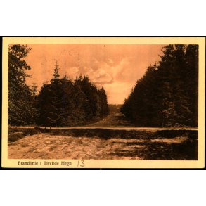 Brandlinie i Tisvilde Hegn - Alex Vincent 222 - Brugt