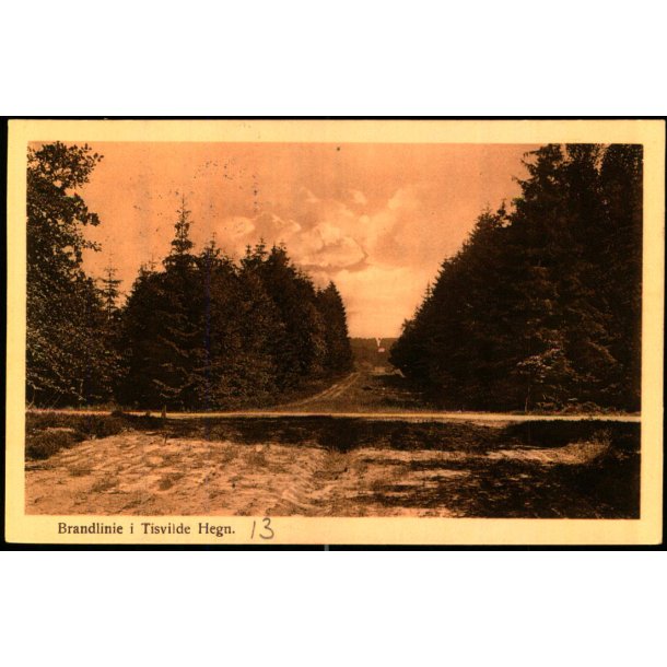 Brandlinie i Tisvilde Hegn - Alex Vincent 222 - Brugt