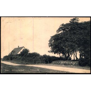 Ved Skovleddet - Tisvilde - Albert Jensens Bogh. 23697 - Brugt