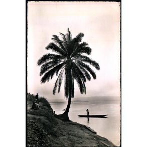 Congo Belge - Fleuve Conge - Fotokort 54 - Brugt