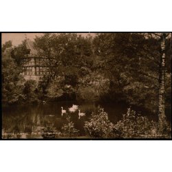 Aarhus - Fra Botanisk Have - Stender 1004 - Brugt