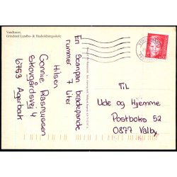 Vandkunst - Grindsted landbo &amp; Husholdningsskole - P. Hammerich u/n - Brugt