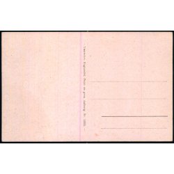 Aalborg - Udsigt fra Skovbakken - Vesterbros Bogh. 12925 - Ubrugt