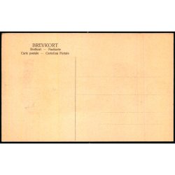 Amager - Danmarkstoget - Brnehjlpsdagen 1906 - u/n - Ubrugt