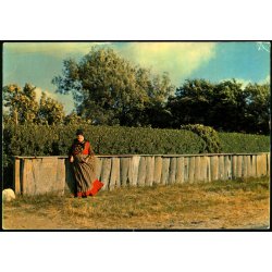 R�m� - Hvalribben - Stjerne Foto 35052 - Ubrugt