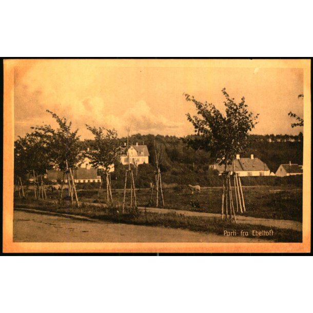 Parti fra Ebeltoft - Edv. J�rgensen 51166 - Ubrugt