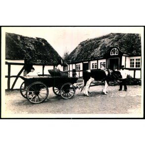 Hjerl Hede - Stjerne Foto u/n - Ubrugt