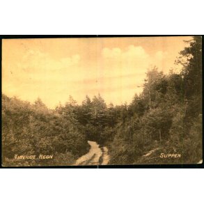 Tisvilde Hegn - Slippen - Sveag�rds Forlag u/n - Brugt