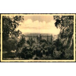 Paradisdalen - Tisvilde Hegn - E. Ramlaus Bogh. 3993 - Ubrugt