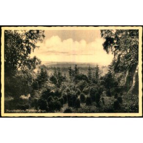 Paradisdalen - Tisvilde Hegn - E. Ramlaus Bogh. 3993 - Ubrugt