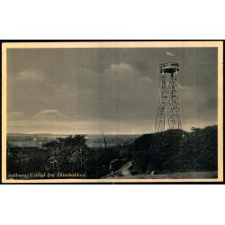 Aalborg - Udsigt fra Skovbakken - Vesterbros Bogh. 12925 - Ubrugt