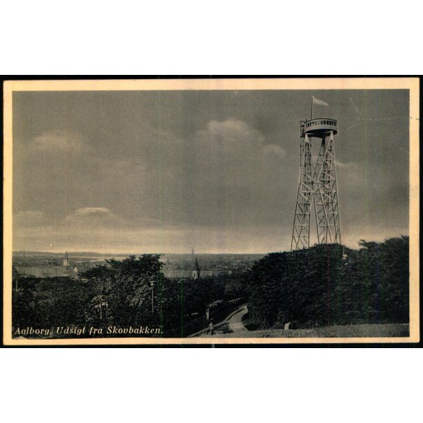 Aalborg - Udsigt fra Skovbakken - Vesterbros Bogh. 12925 - Ubrugt