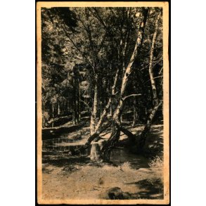 Tisvilde Hegn - R�hls Dam - Stationskiosken 104 - Ubrugt