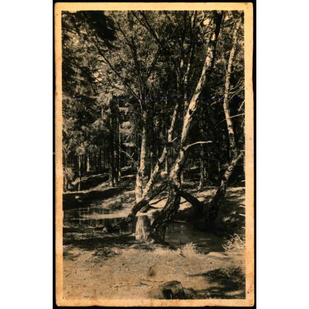 Tisvilde Hegn - R�hls Dam - Stationskiosken 104 - Ubrugt