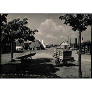 Bornholm - Parti fra Snogebk  - Colbergs Bogh. 3071 - brugt