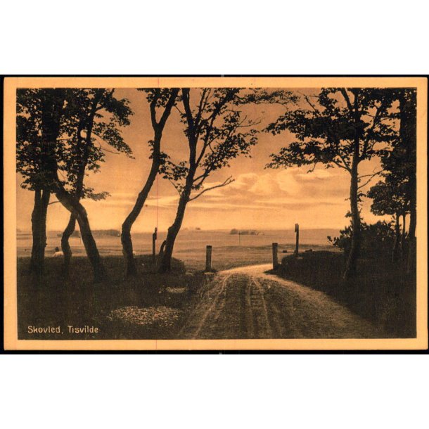 Skovled - Tisvilde - Knud Poulsens Bogh. 22088 - Ubrugt