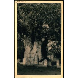 Boma  7 - 6 - 55 - Fotokort u/n - Brugt