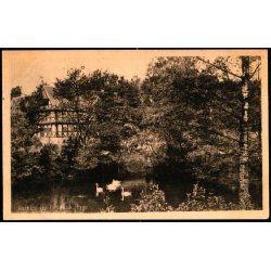 Aarhus - Fra Botanisk Have - Stender 38646 - Brugt