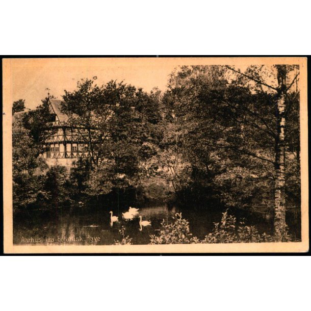 Aarhus - Fra Botanisk Have - Stender 38646 - Brugt