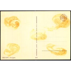 Ebeltoft - Overgade - Elles Offset 655 - Ubrugt - Limrest !