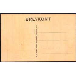 Bornholm - Hammershus i det 12 te Aarhundrede - Frits Srensens Bogh. 95 - Ubrugt