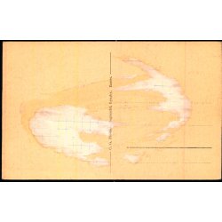 Lyngby - Sorgenfri Park ved Kilden - Petersens Bogh. u/n - Ubrugt - Har v�ret kl�bet op !