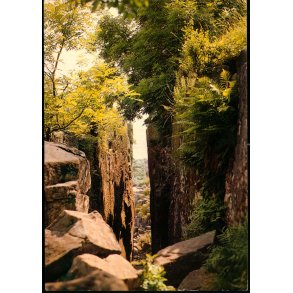 Bornholm - Randklveskaaret - W. Dams Bogh. 6140 - Brugt