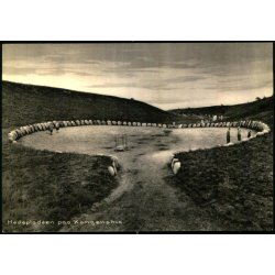 M�deplads paa Kongenshus - Kongenshus 94417 - Ubrugt