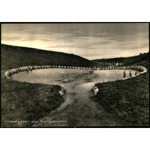 M�deplads paa Kongenshus - Kongenshus 94417 - Ubrugt