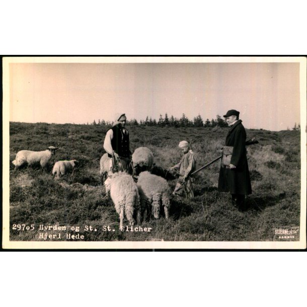 Hyrden og St.ST.Blicher - Hjerl Hede - Stjerne Foto 29705 - Ubrugt