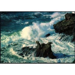 Bornholm - Lve og Kamerlhovedeerne - W. Dams Bogh. 6123 - Brugt