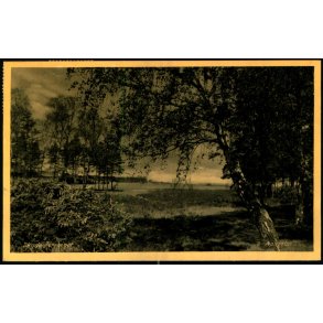 Skyde Terraiget - Asserbo - E. Ramlaus Bogh. 78367 - Brugt