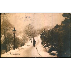 Parti fra Aborreparken - Fotografisk Forlag u/n - Brugt 