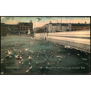 K�benhavn - Maagerne ved Dr. Louises Bro - C. St. 2532 - Brugt