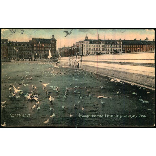 K�benhavn - Maagerne ved Dr. Louises Bro - C. St. 2532 - Brugt