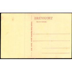 Assens - Willemos F�degaard - Fr. Plums Bogh.  24117 - Ubrugt