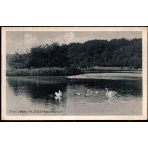 Svendborg - Parti fra Hestehaven - Stender S. 259 - Ubrugt