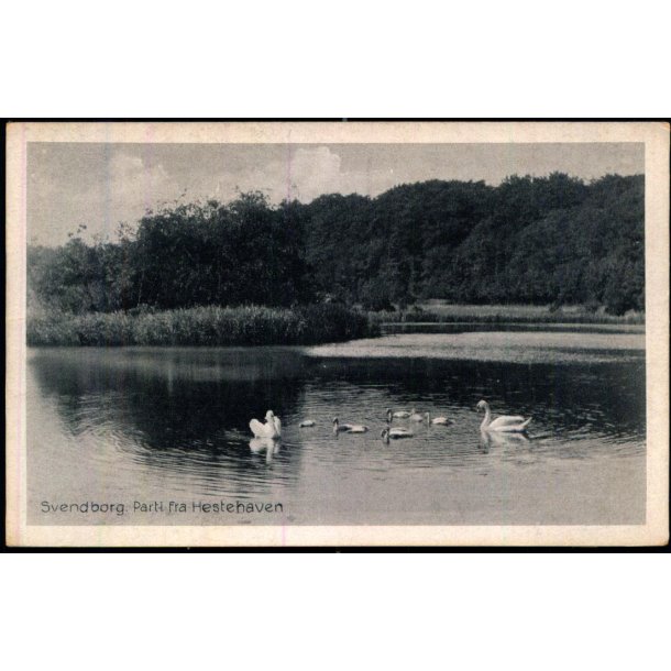 Svendborg - Parti fra Hestehaven - Stender S. 259 - Ubrugt