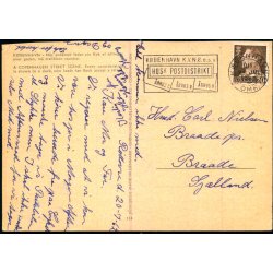 Kbenhavn - Andemor leder sin flok af llinger over gaden - Photoprint 153 - Brugt