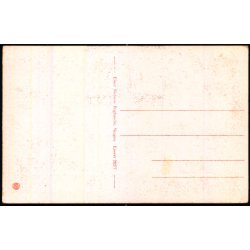 Skagen - Holger Drachmanns Hjem - Nielsens 28277 - Ubrugt