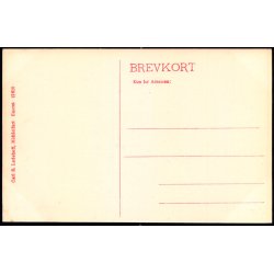 Middelfart - Brogade med Henne Frisers Hus - Carl S. Ladehoff 12620 - Ubrugt