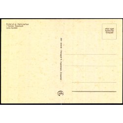 Portal af gl. Partricierhus i T�nder - H. Ingwersen 234 - Ubrugt